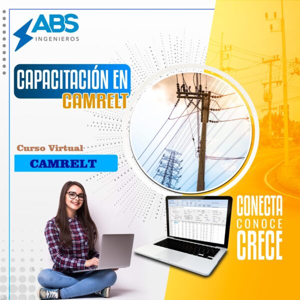 Curso Virtual CAMRELT