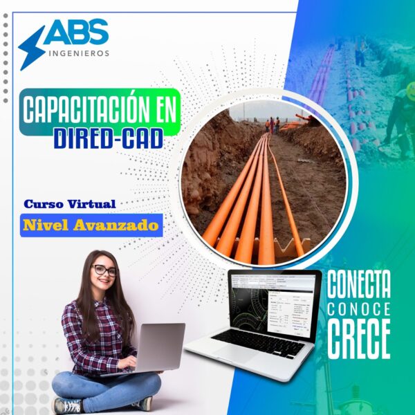 Curso Virtual DIRED-CAD 2024 (Avanzado)